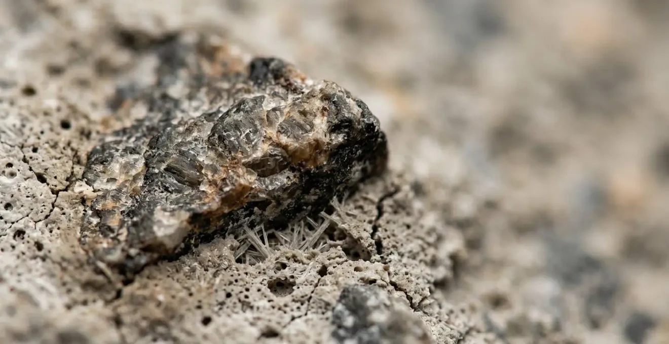 Vue macro détaillée de l'interface entre la pâte de ciment et les granulats dans le béton montrant les microfissures
