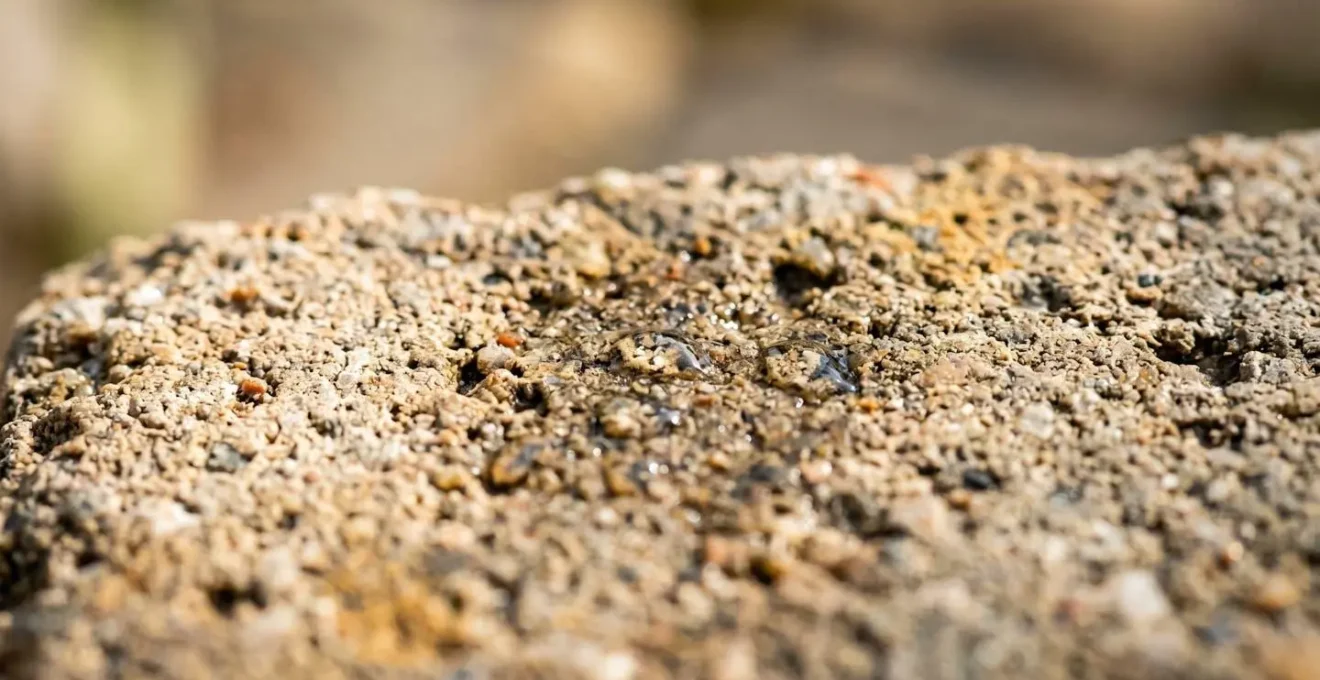 Gros plan macro sur la texture d'un revêtement de sol extérieur avec albédo équilibré